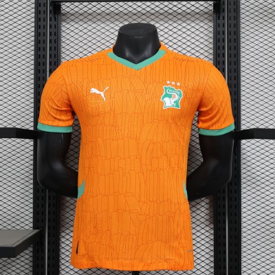 Player punches Ivory Coast home ground