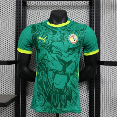 Player Senegal Home Green