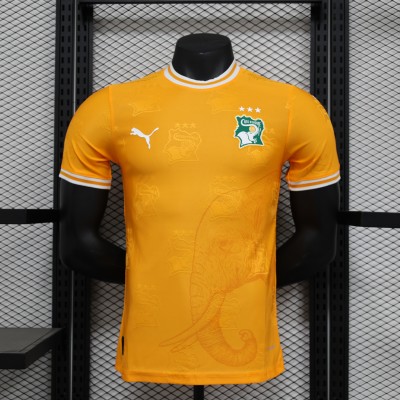 Player Ivory Coast Orange